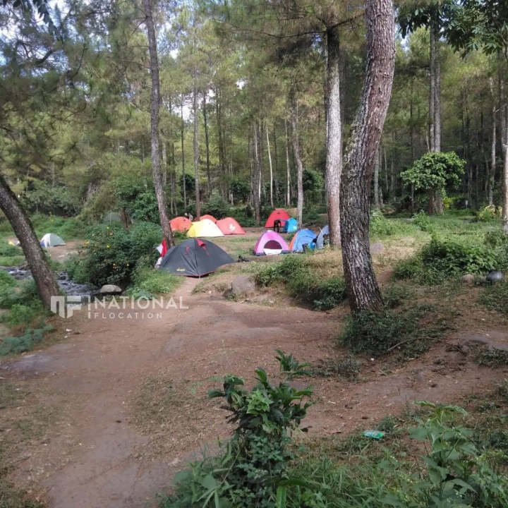 tempat wisata Malang - Bumi Perkemahan Bedengan - camping ground area terbuka